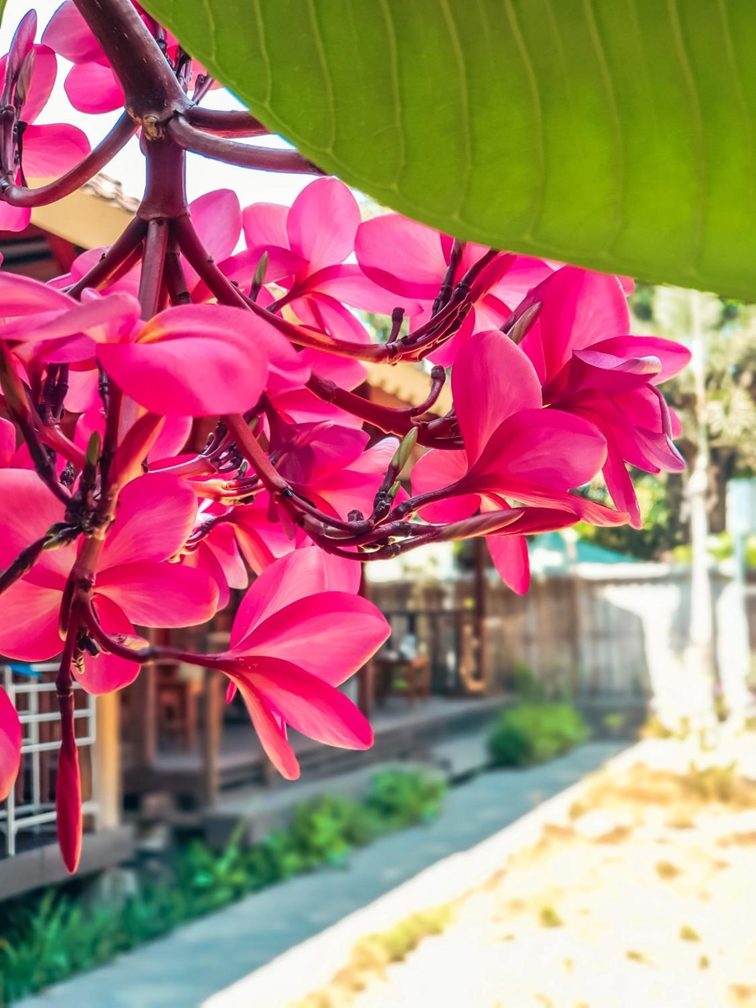 Leaf Coco Bungalow Gili Air Dış mekan fotoğraf