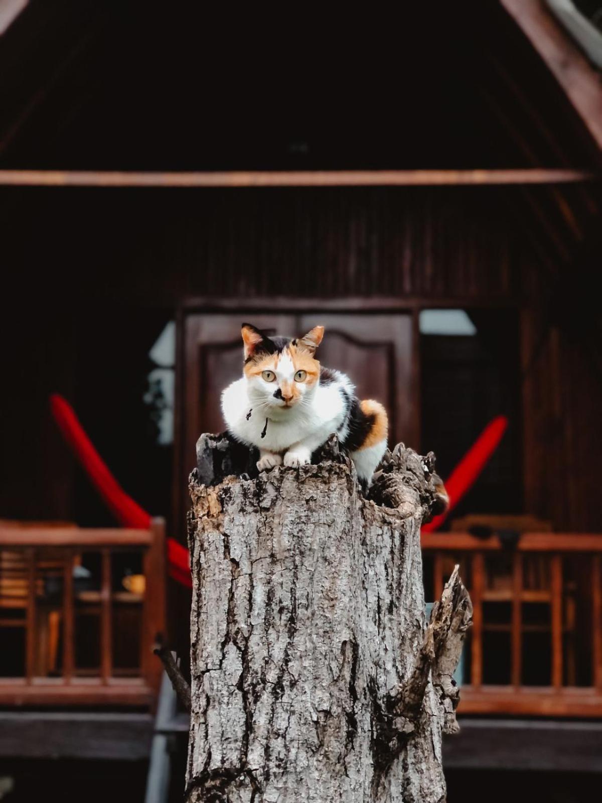 Leaf Coco Bungalow Gili Air Dış mekan fotoğraf