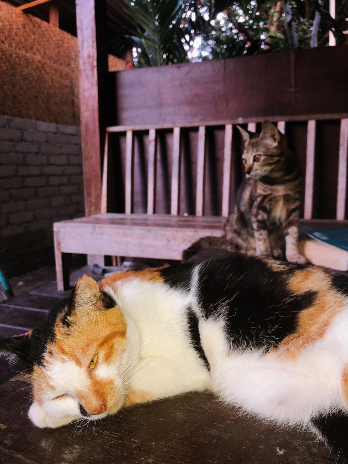 Leaf Coco Bungalow Gili Air Dış mekan fotoğraf