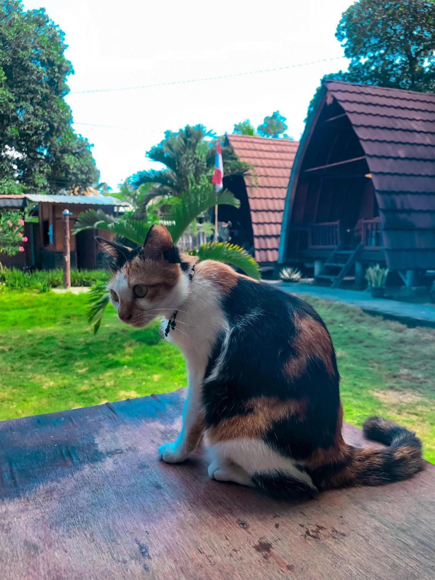 Leaf Coco Bungalow Gili Air Dış mekan fotoğraf