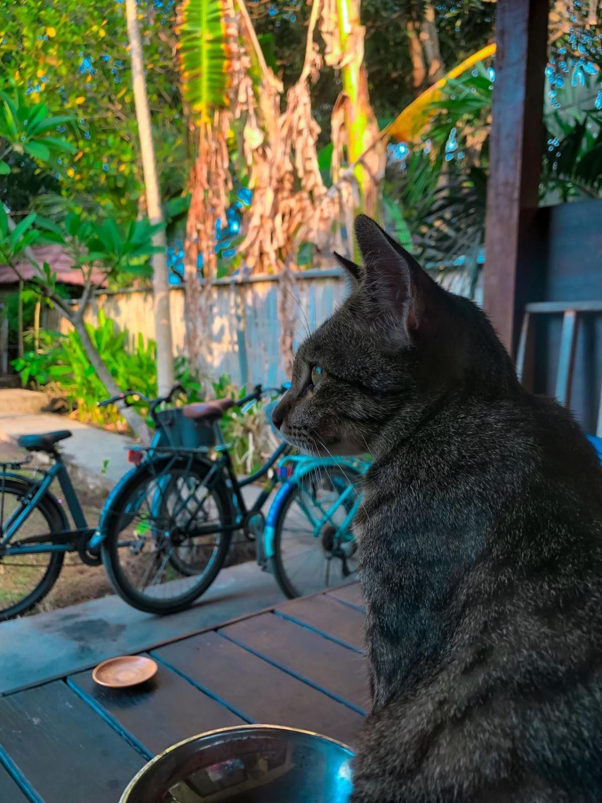 Leaf Coco Bungalow Gili Air Dış mekan fotoğraf