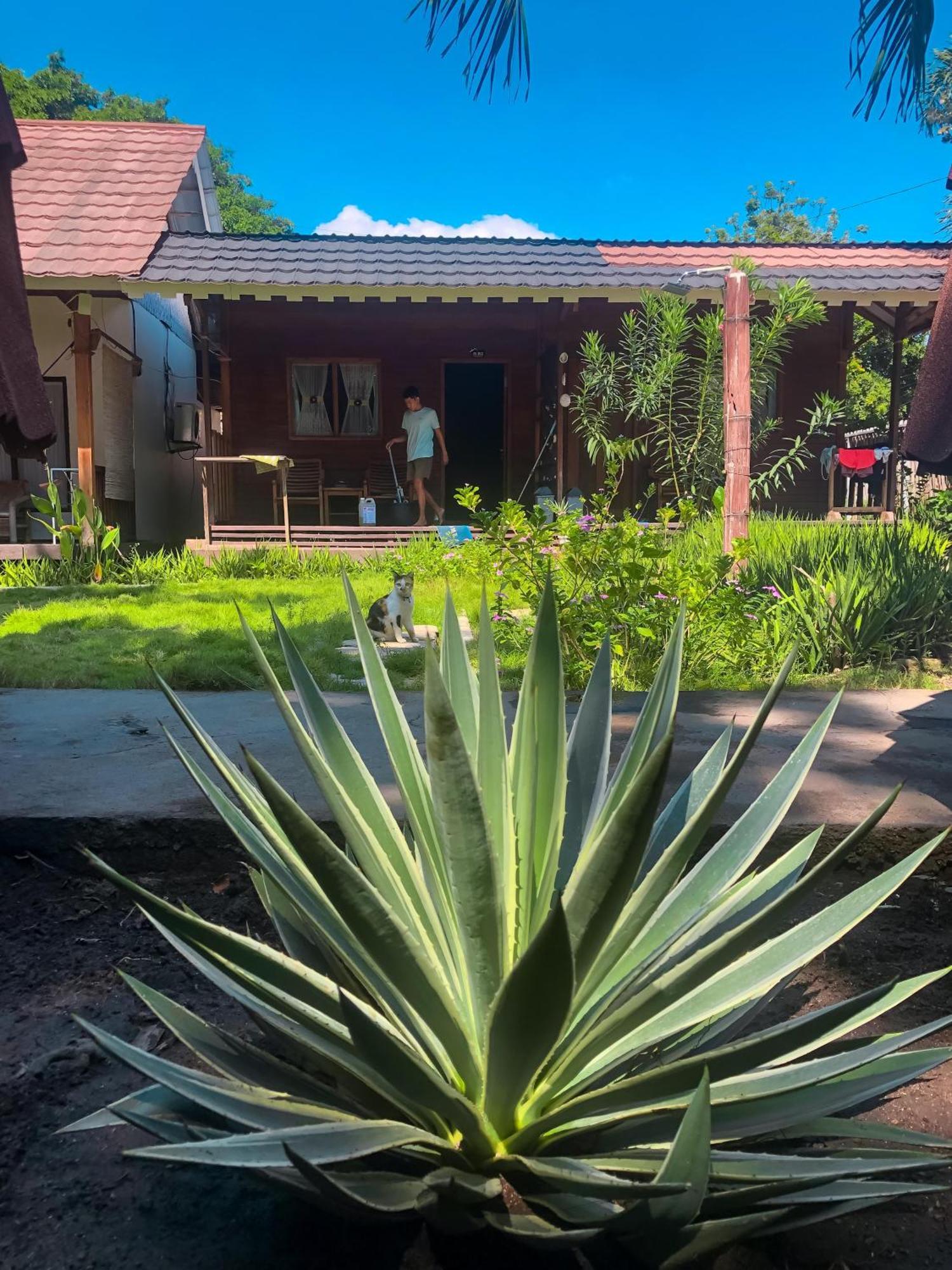 Leaf Coco Bungalow Gili Air Dış mekan fotoğraf